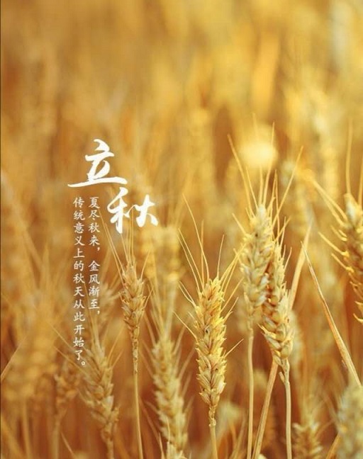 秋已至，夏已末